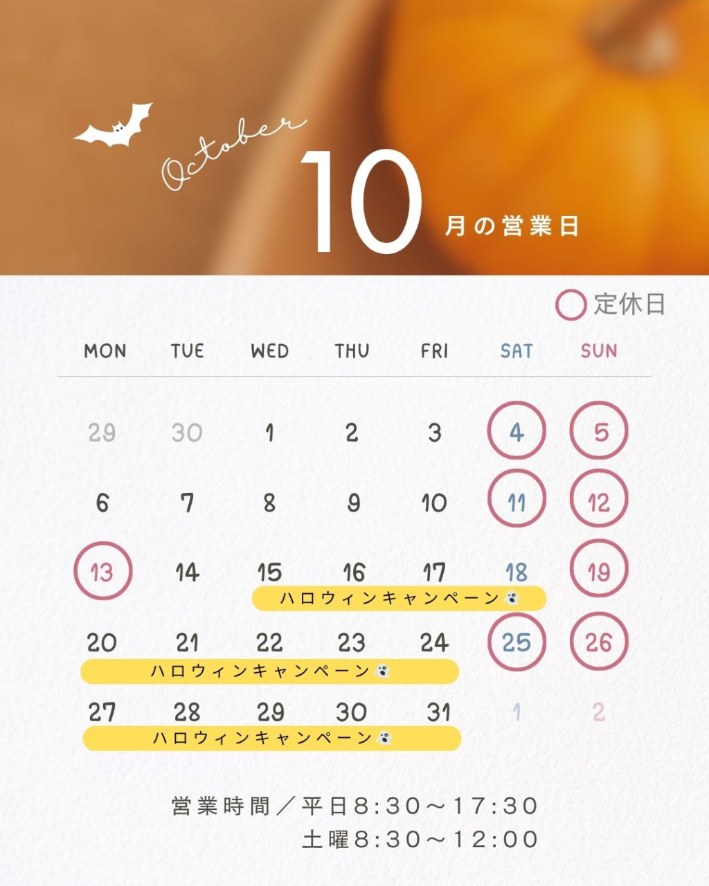 10月カレンダー📝
キャンペーンも実施中❣